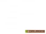 Pilot Ironbél 0, 5mm, HB PPL-5 környezetbarát (PPL-5-HB-BG) (PPL-5-HB-BG)