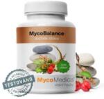 MycoMedica MycoBalance Vegan 90x 500 mg