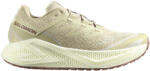 Salomon Aero Glide 3 GRVL Green Haze/Vanilla Ice/Russet Férfi futócipő UK 7, 5 Férfi futócipő