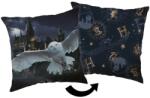 Jerry Fabrics Pernă de copii cu imprimeu - Harry Potter - Hogwarts | 40 x 40 cm (24CS046)