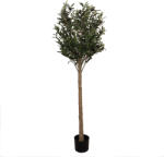 Clayre & Eef Maslin artificial in ghiveci 50x50x165 cm (5PL0148)