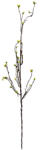 Clayre & Eef Floare artificiala verde maro 8x5x116 cm (5PL0182)