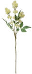 Clayre & Eef Floare artificiala bej verde 16x7x68 cm (5PL0123BE)