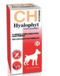 Chemical Ibérica Hyalophyt Large Breeds 100 tablete