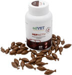 adVet HepActiv 60 tablete