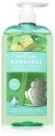 Papoutsanis Karavaki Control & Detox șampon pentru scalp gras și uscat 600 ml
