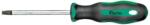Fortis Surubelnita TORX Fortis, TX40x100mm (4317784708227) - bricolaj-mag Surubelnita