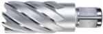 ALFRA Carota HSS ALFRA, prindere Weldon 3/4" (19mm), 15x50mm (1907015050) - bricolaj-mag