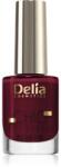 Delia Cosmetics Chic körömlakk keratinnal árnyalat Passion 10 11 ml