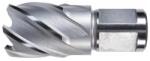ALFRA Carota HSS ALFRA, prindere Weldon 3/4" (19mm), 44x30mm (1907044025) - bricolaj-mag