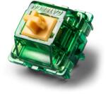 GATERON Beer Switch - Prémium Tactile Mechanikus switch szett (35 db) (Gateron_Beer_Switch35)