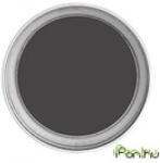 DJI Phantom 4 Pro ND4 Filter (Obsidian) (6958265151460)