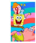 Carbotex Carbotex, gyerekeknek, Spongya Bob Patrickkal és Garyvel 30 × 50 cm (040134-LICENCSP1A)