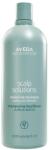 Aveda Scalp Solutions Egyensúlyozó Sampon Fejbőrre, 1000 ml