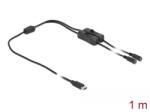 Delock USB Type-C apa - 2 db. DC 5, 5 x 2, 1 mm anya csatlakozójú kábel 1m (86800) (86800)