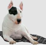  Aqua Coolkeeper hűtőpléd M 60x50cm (vegyes színekben)