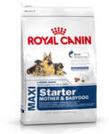Royal Canin Maxi Starter