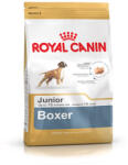 Royal Canin Boxer Junior