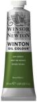 Winsor-Newton Culori ulei Winton Winsor Newton, Burnt Sienna, 37 ml, PBk11, PR101