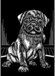 Reeves Gravura predesenata Silver Pug Reeves Carte de colorat