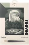 Reeves Gravura predesenata Silver Eagle Reeves Carte de colorat