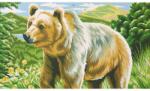Reeves Pictura pe numere North America Bear Reeves Carte de colorat