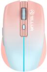 Tellur Silent Click TLL491341 Mouse