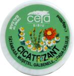 CETA Sibiu Unguent cicatrizant 40 g