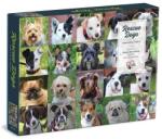 Galison 1000 db-os puzzle - Rescue Dogs (69535) (69535)