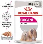 Royal Canin Ccn Exigent Pástétom 12x85g