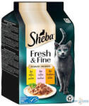 Sheba 6*50gr Fresh&Fine csirke, lazac, pulyka mártásban