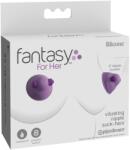 Fantasy For Her - vibrációs bimbószívó (lila) - sexshopcenter