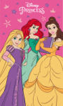 Hercegnők Disney Hercegnők Charm kéztörlő arctörlő, törölköző 30x50cm
