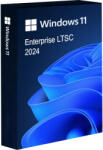 Microsoft Windows 11 IoT Enterprise LTSC 2024 (WMG997933)