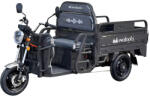 Evotools Triciclu Electric Cargo Balaur TRCC1000, Putere maximala: 2000 W, Autonomie: 72 km, Viteza maxima: 25 km h (683225)