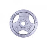 inSPORTline Greutate otel inSPORTline Hamerton 10 kg (12711)
