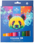 KOH-I-NOOR 3134 Színesceruza Készlet Háromszögletű Vastag 36 Darab/Készlet Medve (I7140145002)