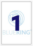 Bluering Etikett címke, 210x297mm, 100 lap, 1 címke/lap Bluering® (BRET111) - nyomtass-olcson