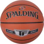 Spalding Tf Silver Sz7 Composite Basketball (689344405209) (689344405209)