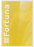 Fortuna Füzet - Franciakockás - A/4 - 32 Lapos (TSV01-01714)