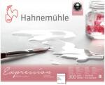 Hahnemühle Expression akvarellpapír | Various Sizes