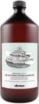 Davines Davines, Natural Tech, Hair Shampoo, For Detoxing, 1000 ml