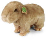 Rappa Capybara de pluș 30 cm ECO-FRIENDLY