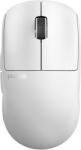 Pulsar X2 v3 Size1 White 1K 8K compatible (PX2312)