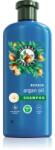 Herbal Essences Argan Oil Repair sampon hidratant pentru par deteriorat 350 ml