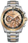 Citizen AN8204-59X Ceas