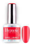 BrillBird TPO FREE Hypnotic HEMA Free Gel&Lac 4 ml 138