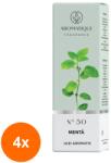 LCAA Set 4 x Ulei Aromat, Aromatique Menta, 10 mlm Ambalat la Cutie (GIL-4xLCA-ULC-AR-50-MENT)