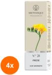 LCAA Set 4 x Ulei Aromat, Aromatique Frezie, 10 ml, Ambalat la Cutie (GIL-4xLCA-ULC-AR-21-FRES)