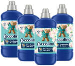 Coccolino Water Lily&Pink Grapefruit öblítőkoncentrátum (4x1275 ml)